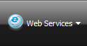 Web Services